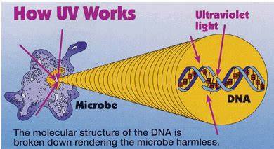 how UV light works
